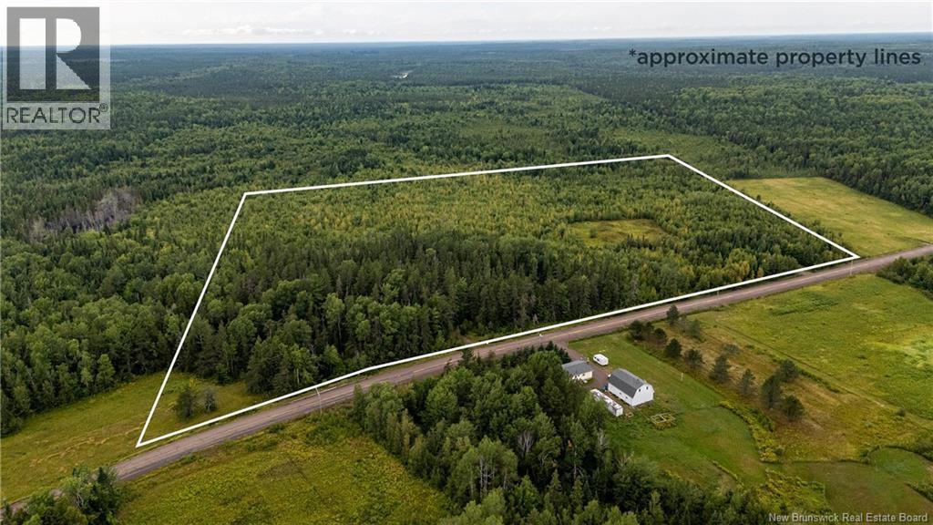 Photo of Listing #NB129485