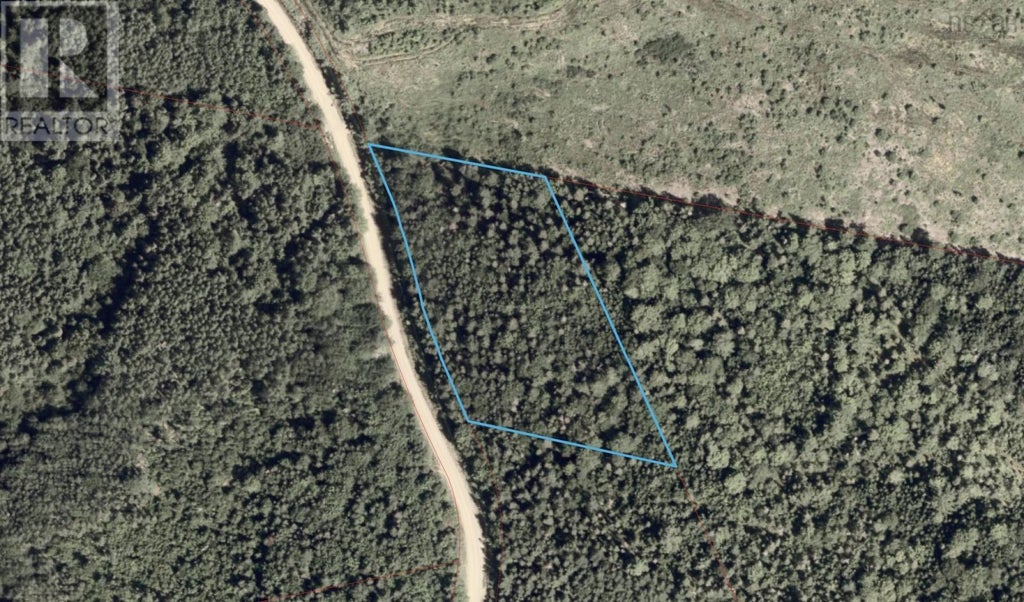 Cameron Road, Orangedale