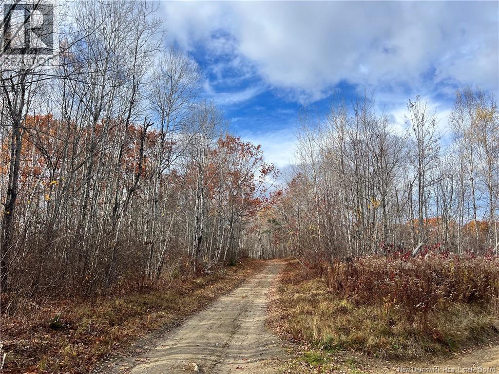 Photo of Listing #NB129555