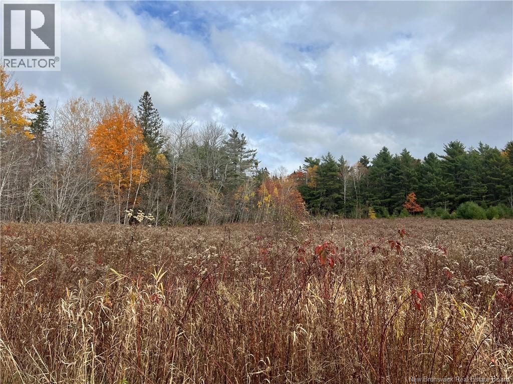 Photo of Listing #NB129571