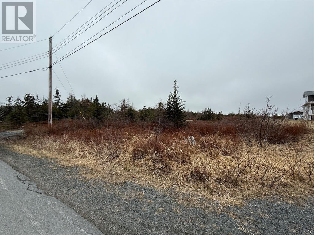 163 Ridge Road, Spaniards Bay