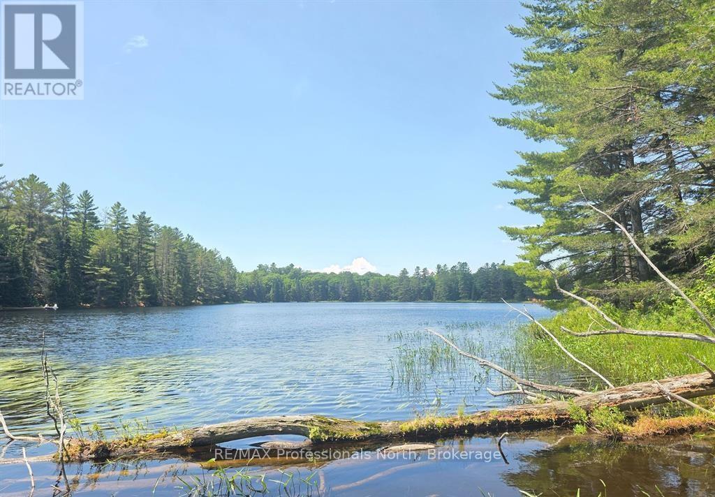 1134 Walkers Line Road, Algonquin Highlands (stanhope)