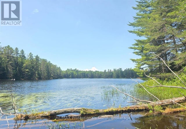 1134 Walkers Line Road, Algonquin Highlands (stanhope)