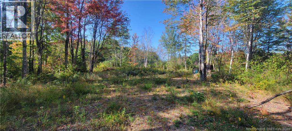 Photo of Listing #NB129419