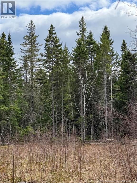 Photo of Listing #NB129703