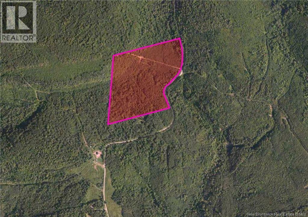 Photo of Listing #NB128307