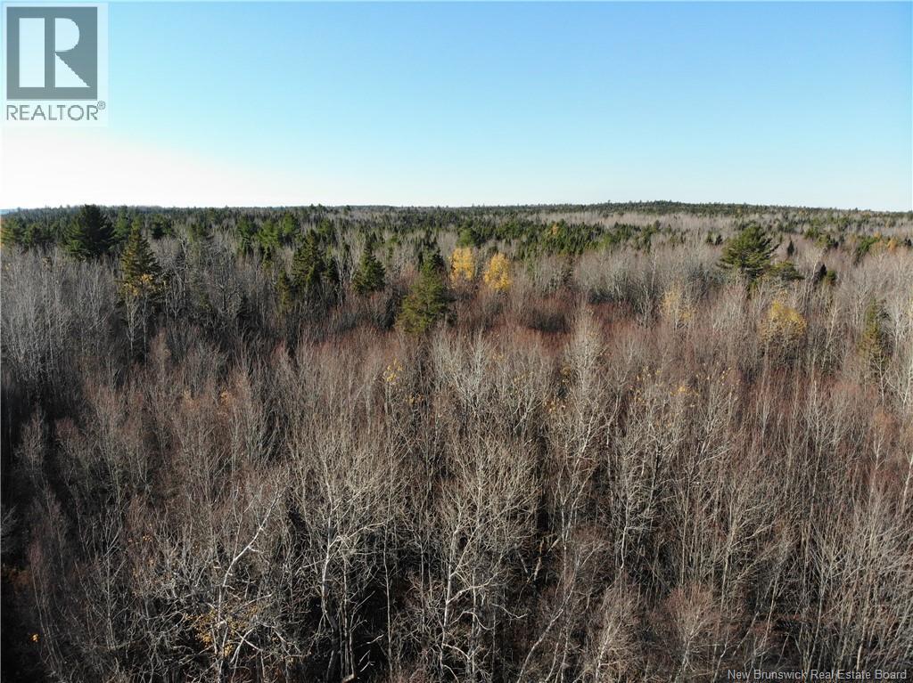 Photo of Listing #NB129558