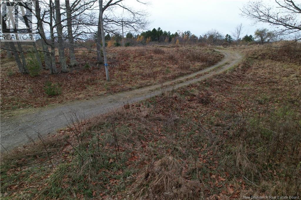 Photo of Listing #NB129763