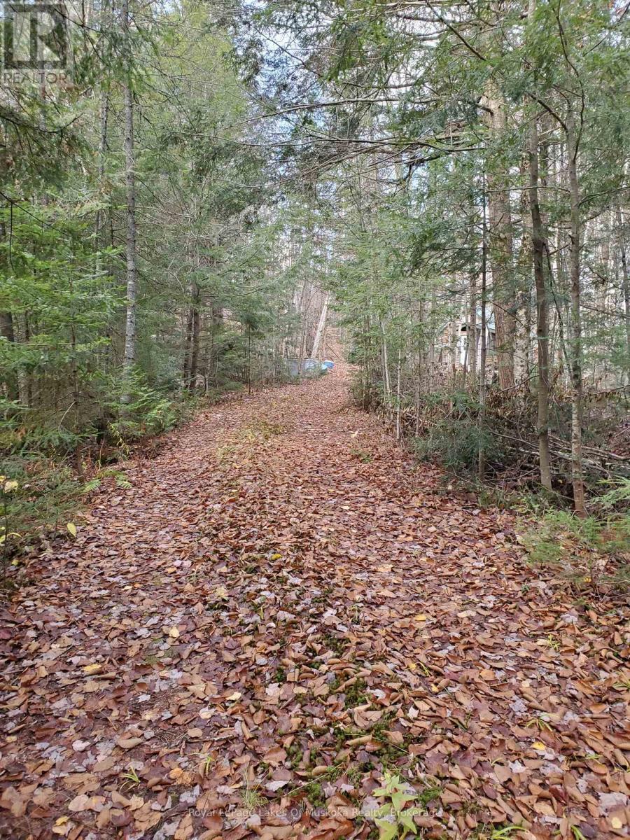 00000 Ril Lake Road, Lake Of Bays (ridout)