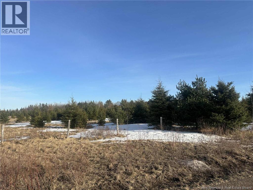 Photo of Listing #NB129775