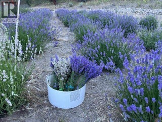 21825 Garnet Valley Road. Summerland, British Columbia