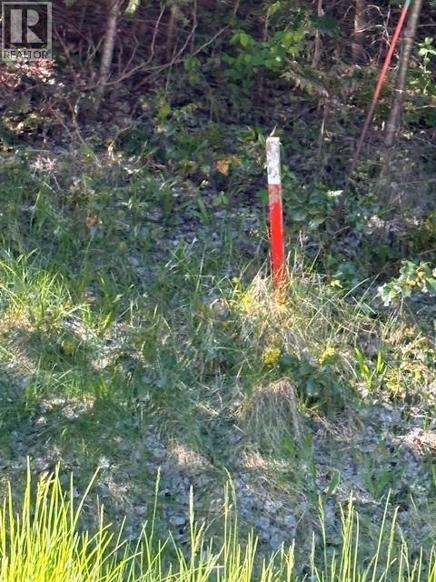 Photo of Listing #10368881