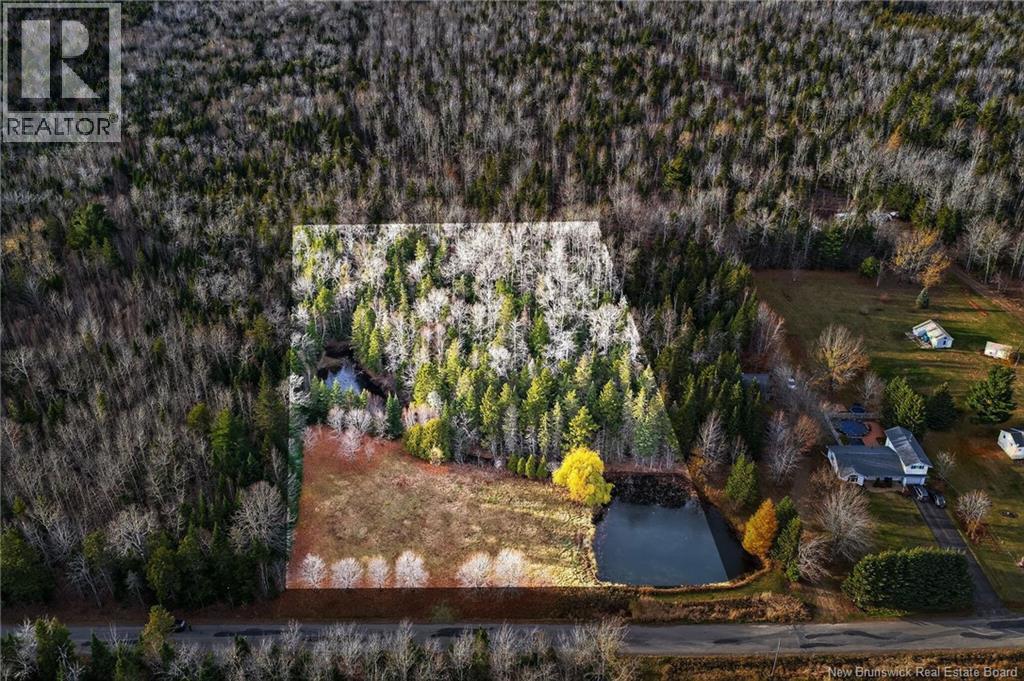 Photo of Listing #NB129752