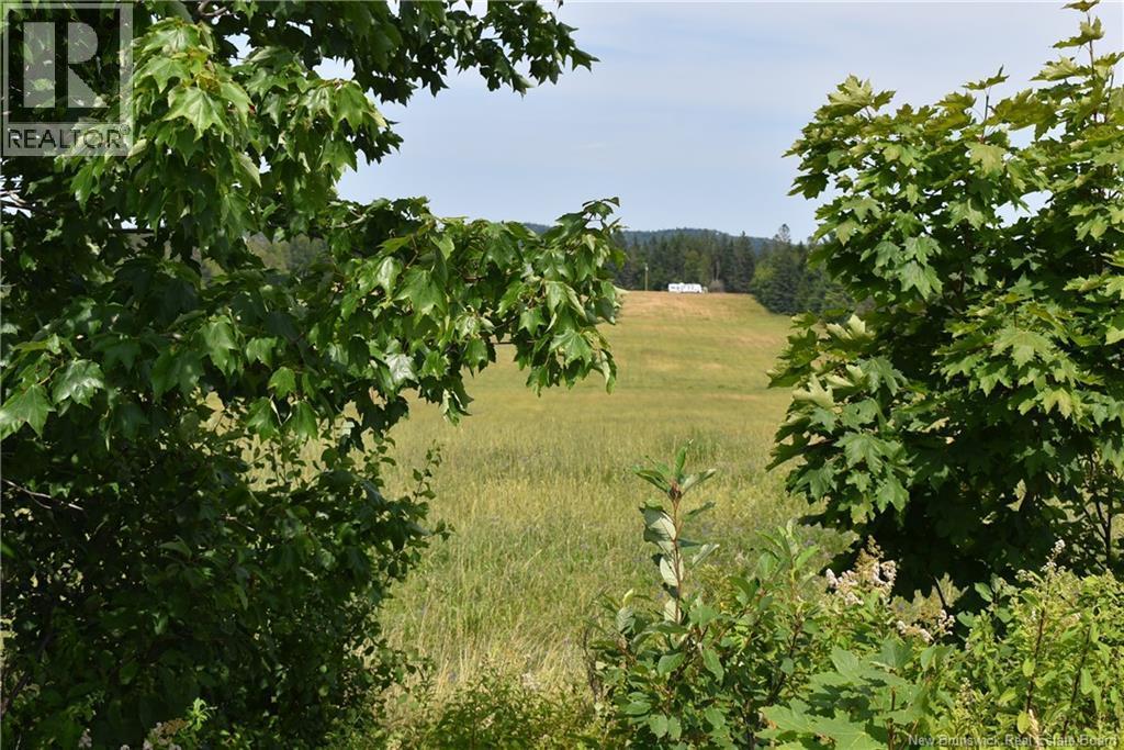 Photo of Listing #NB129862