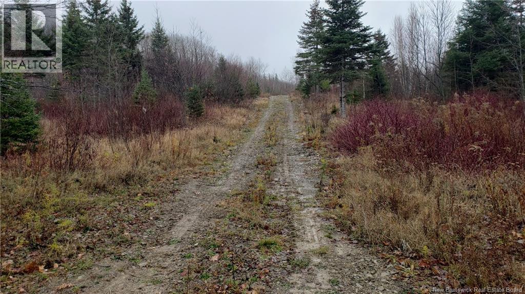 Photo of Listing #NB129948