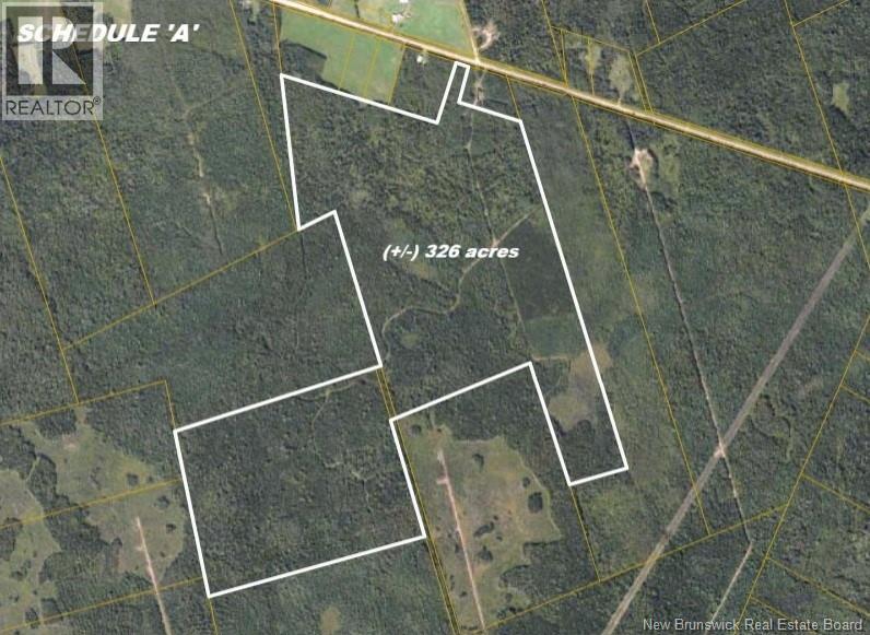 Photo of Listing #NB130009