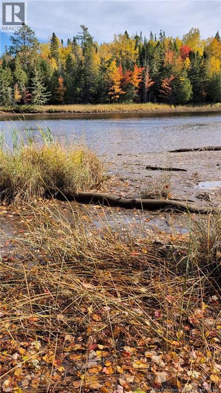 Photo of Listing #NB129984