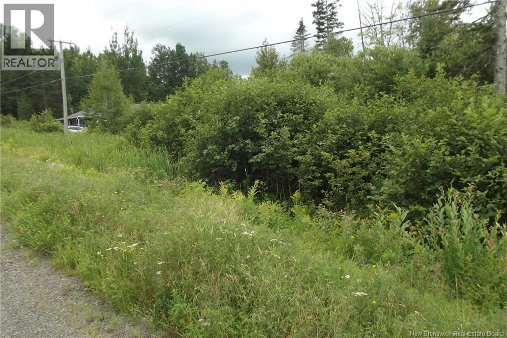 Photo of Listing #NB130127