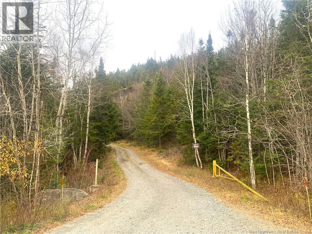Photo of Listing #NB129658