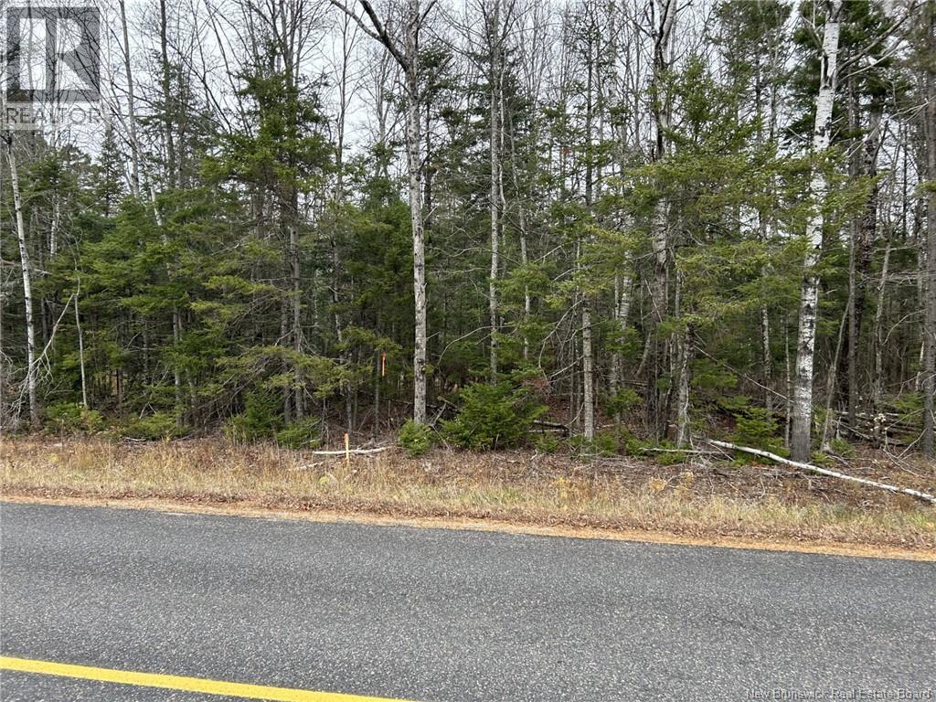 Photo of Listing #NB130152