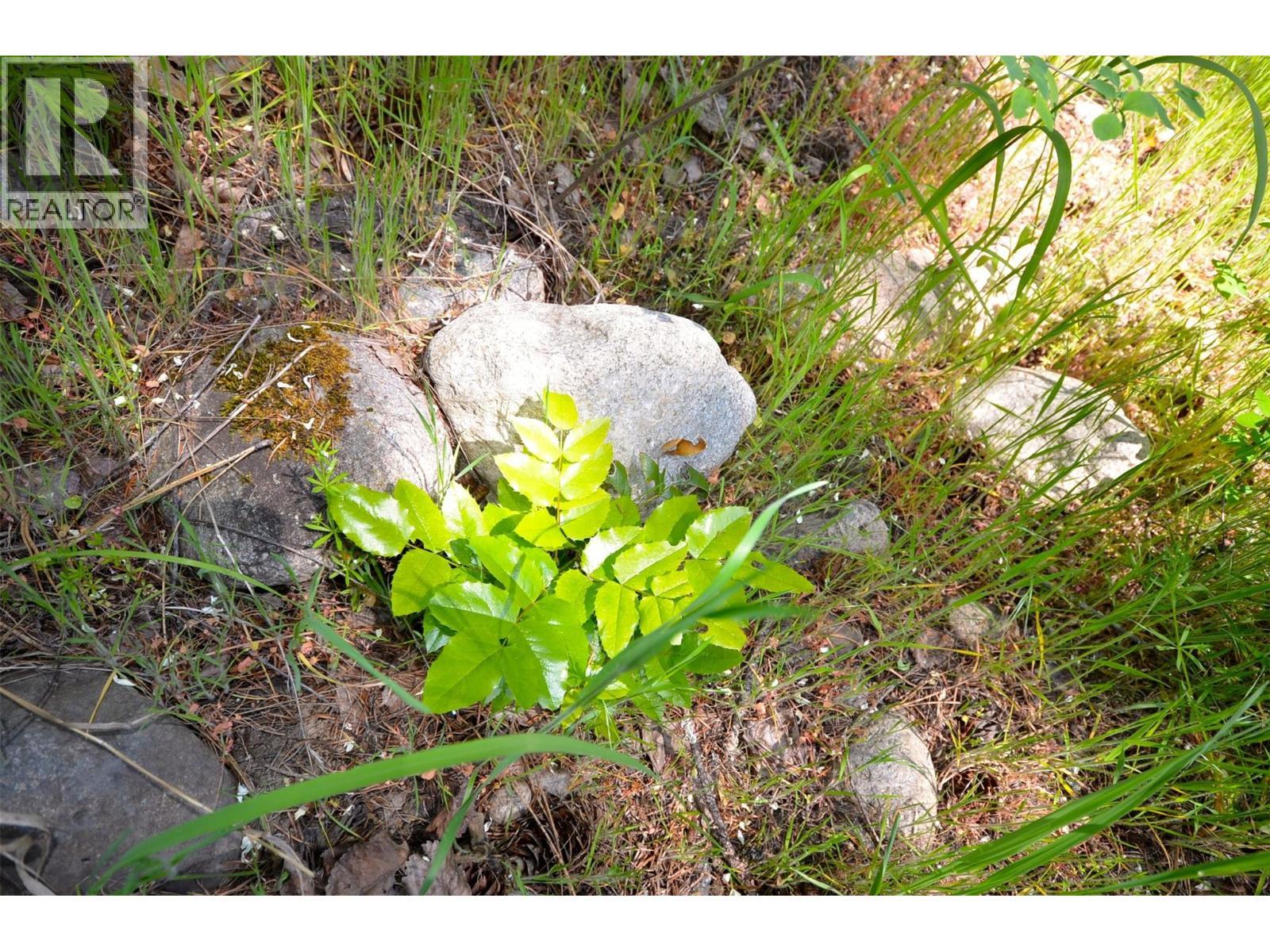 10713 Westshore Road. Vernon, British Columbia