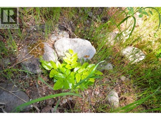 10713 Westshore Road. Vernon, British Columbia