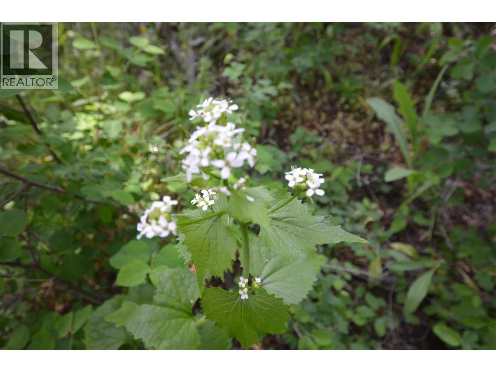 10713 Westshore Road. Vernon, British Columbia