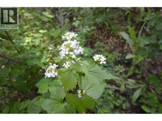 10713 Westshore Road. Vernon, British Columbia