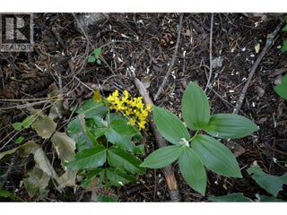 10713 Westshore Road. Vernon, British Columbia