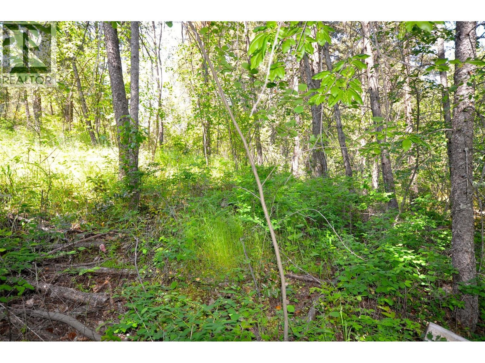 10713 Westshore Road. Vernon, British Columbia