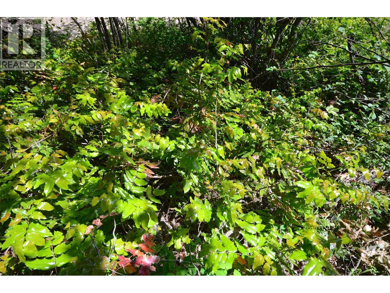 10713 Westshore Road. Vernon, British Columbia