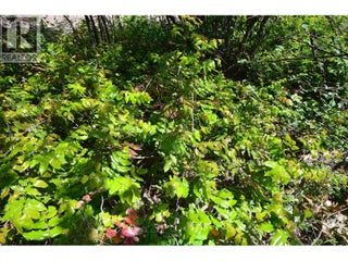 10713 Westshore Road. Vernon, British Columbia