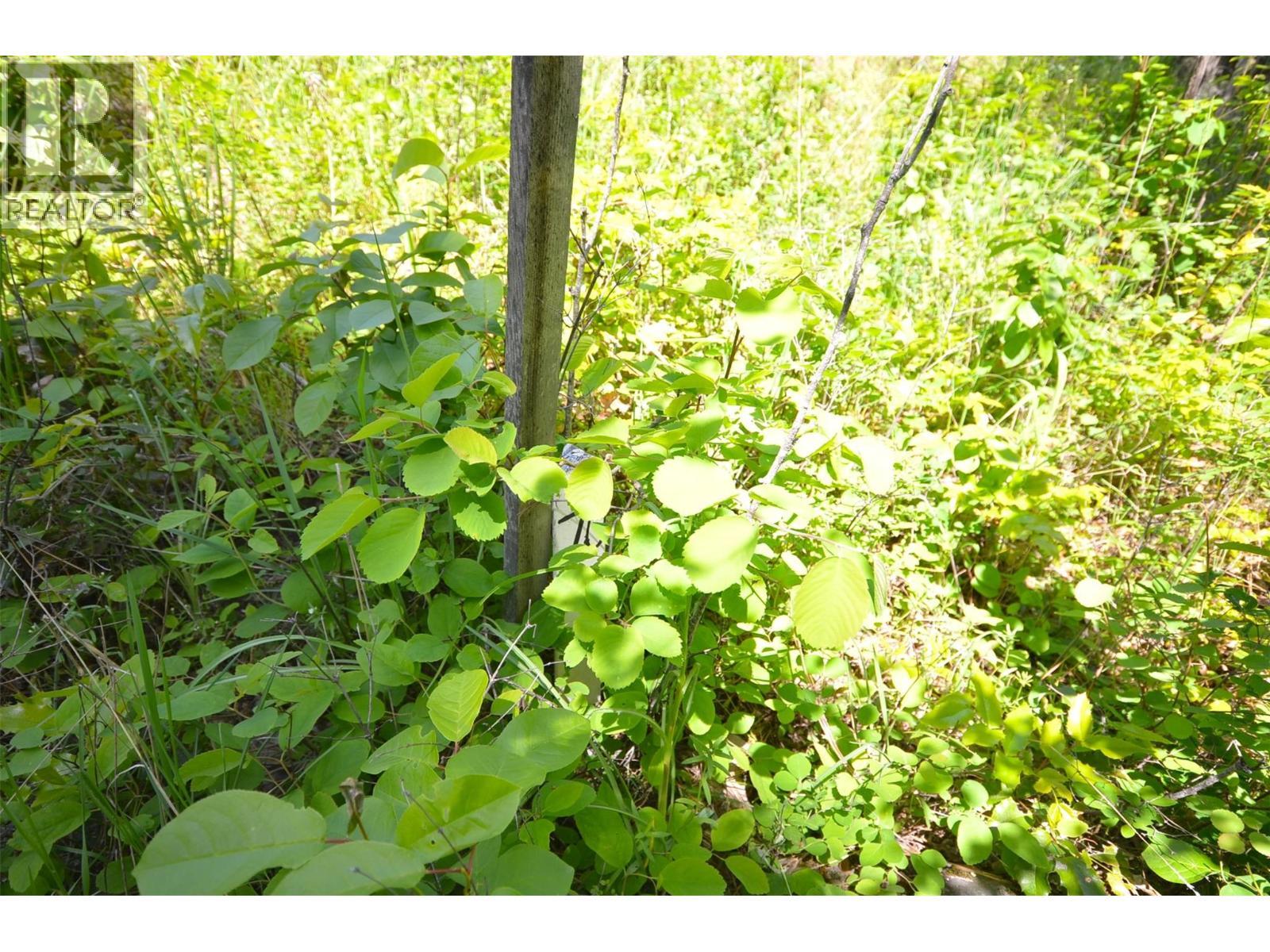 10713 Westshore Road. Vernon, British Columbia