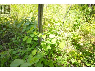 10713 Westshore Road. Vernon, British Columbia