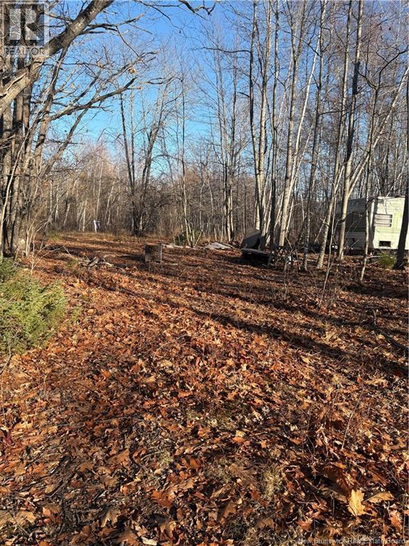 Photo of Listing #NB130161