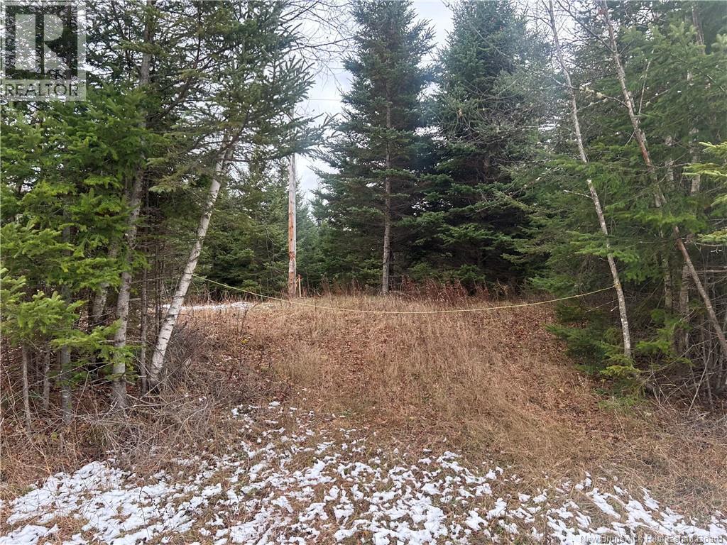 Photo of Listing #NB130279