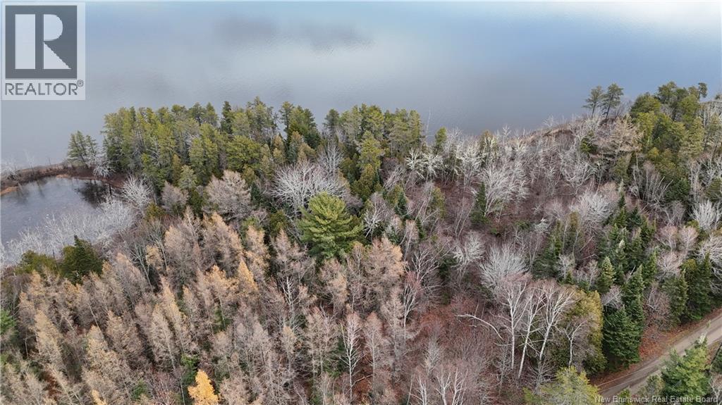 Photo of Listing #NB130311