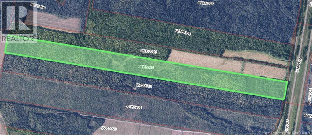 Photo of Listing #NB130589