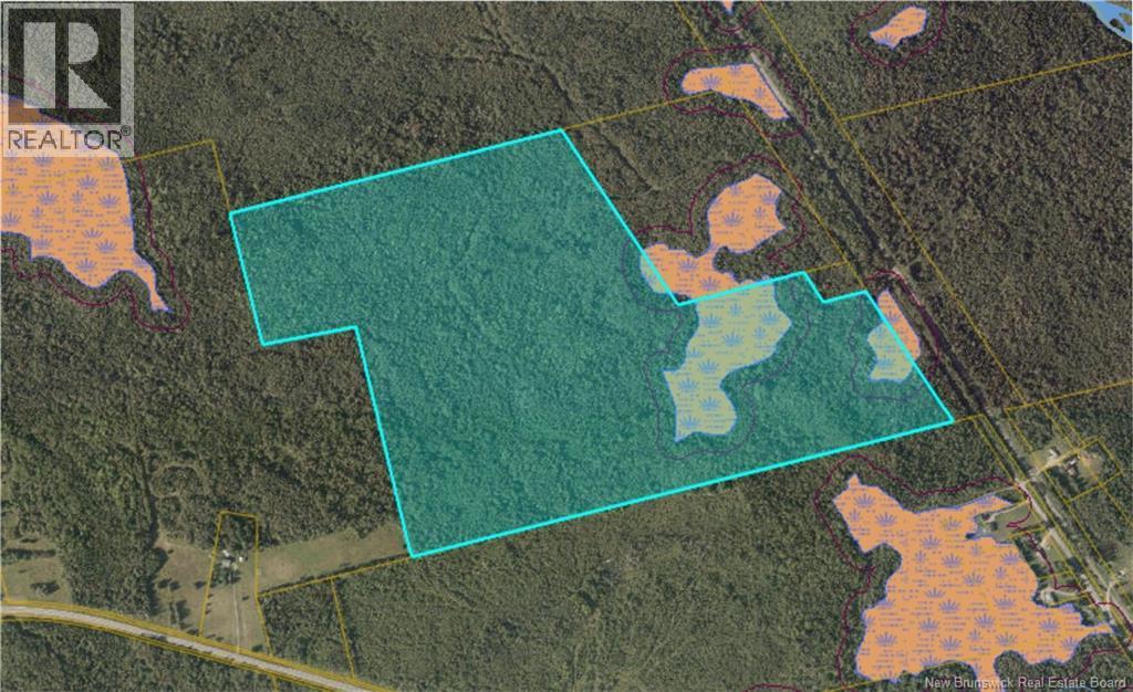 Photo of Listing #NB130656