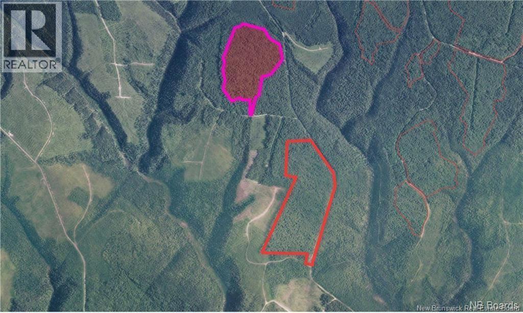 Photo of Listing #NB130690