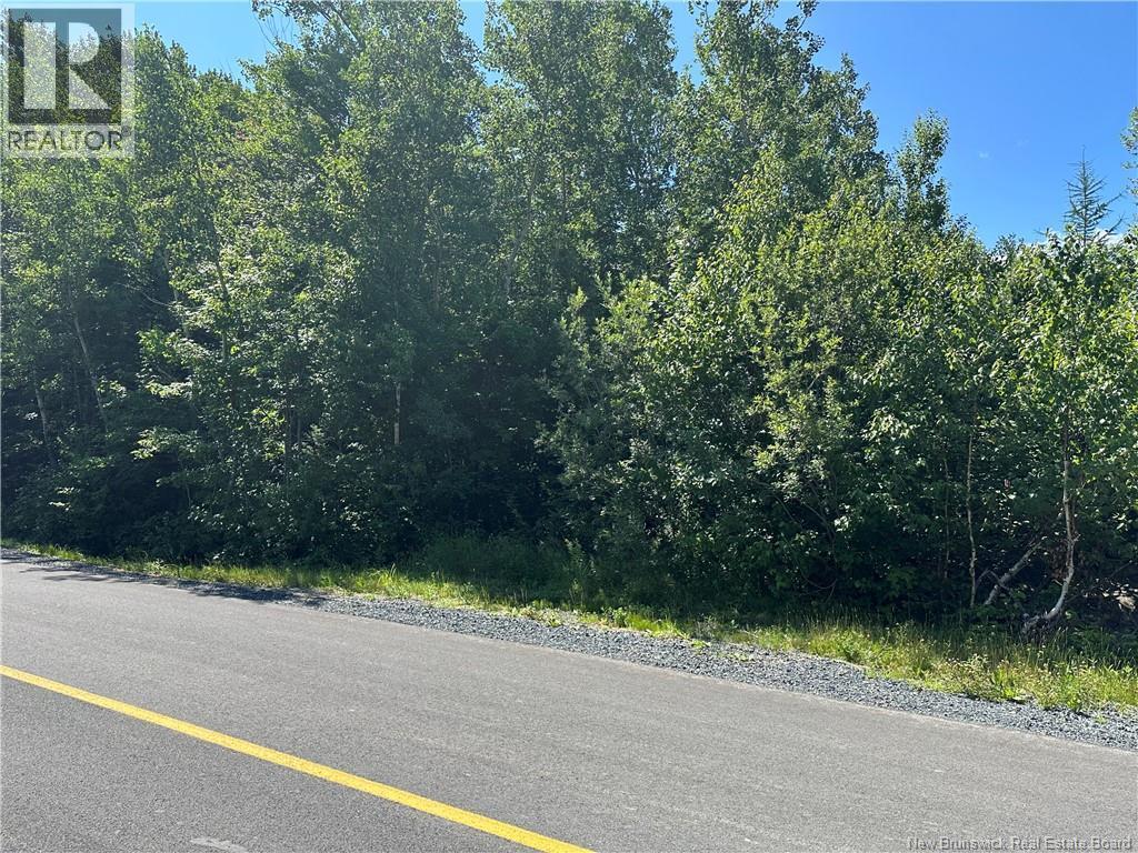 Photo of Listing #NB130590