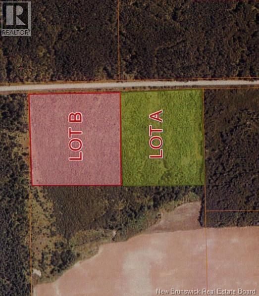 Photo of Listing #NB130742