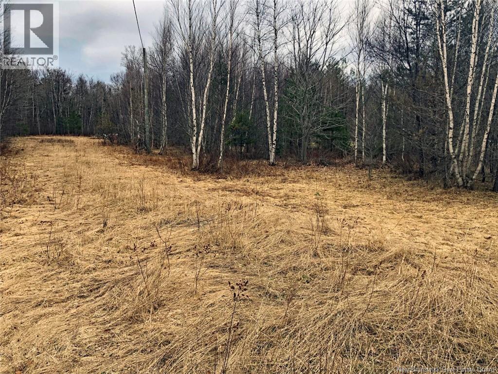 Photo of Listing #NB130779