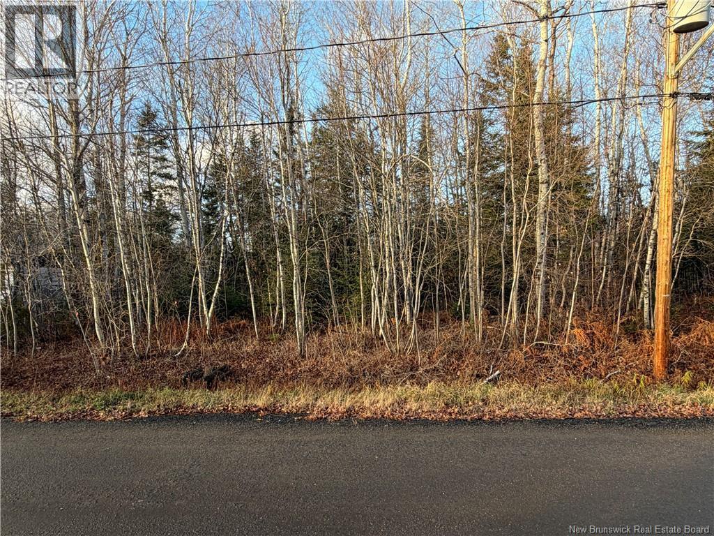 Photo of Listing #NB130744