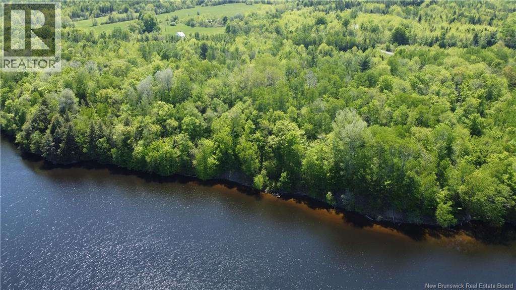 Photo of Listing #NB130917