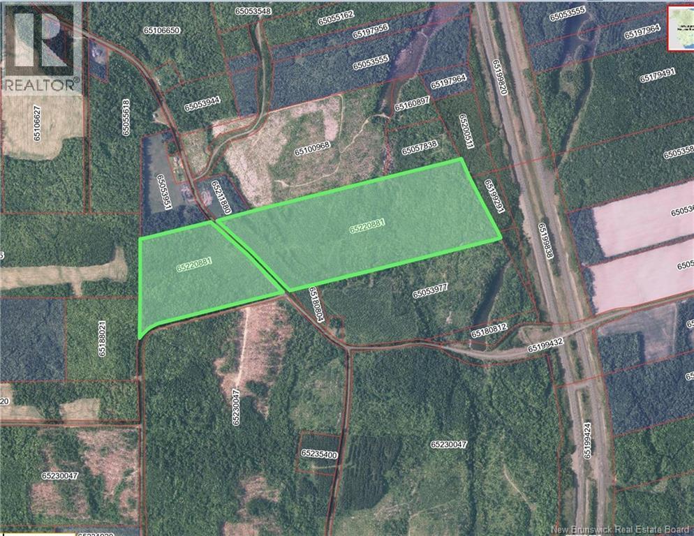 Photo of Listing #NB130870