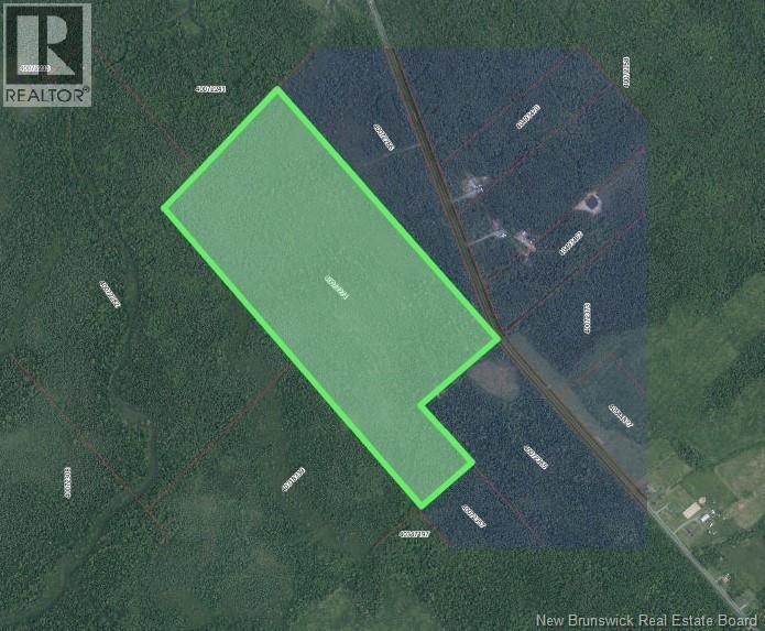 Photo of Listing #NB130911