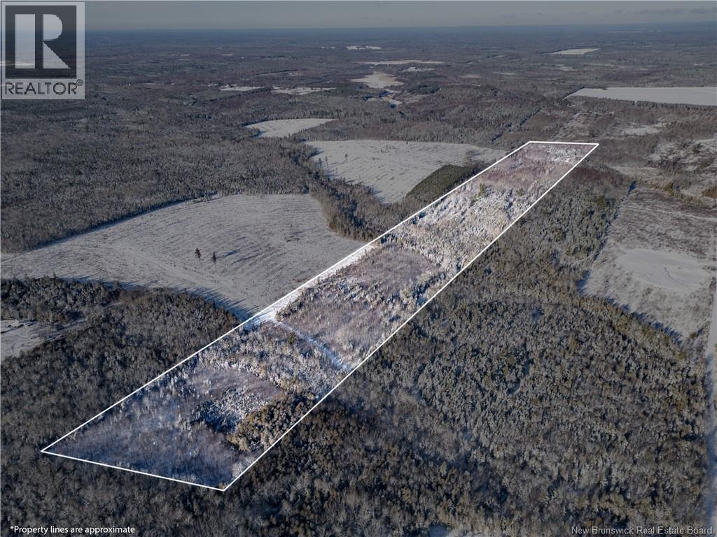 Photo of Listing #NB130991