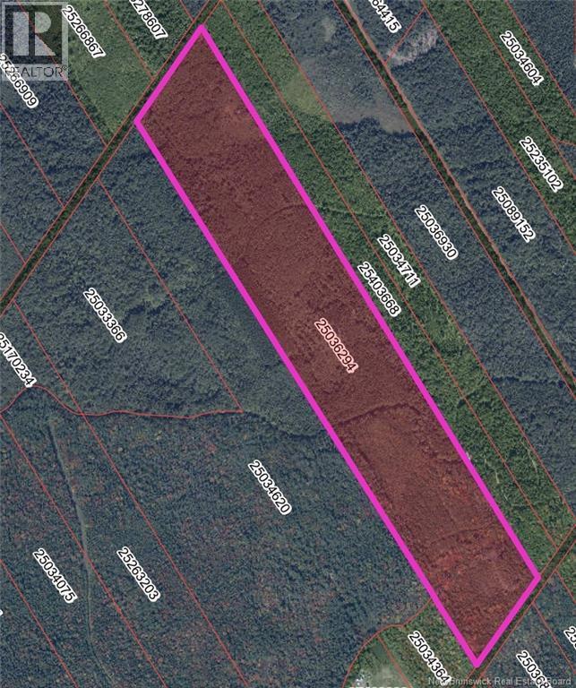 Photo of Listing #NB130991