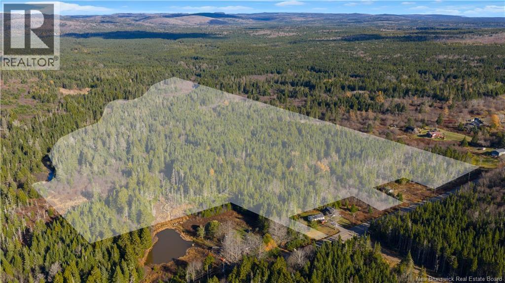 Photo of Listing #NB129908